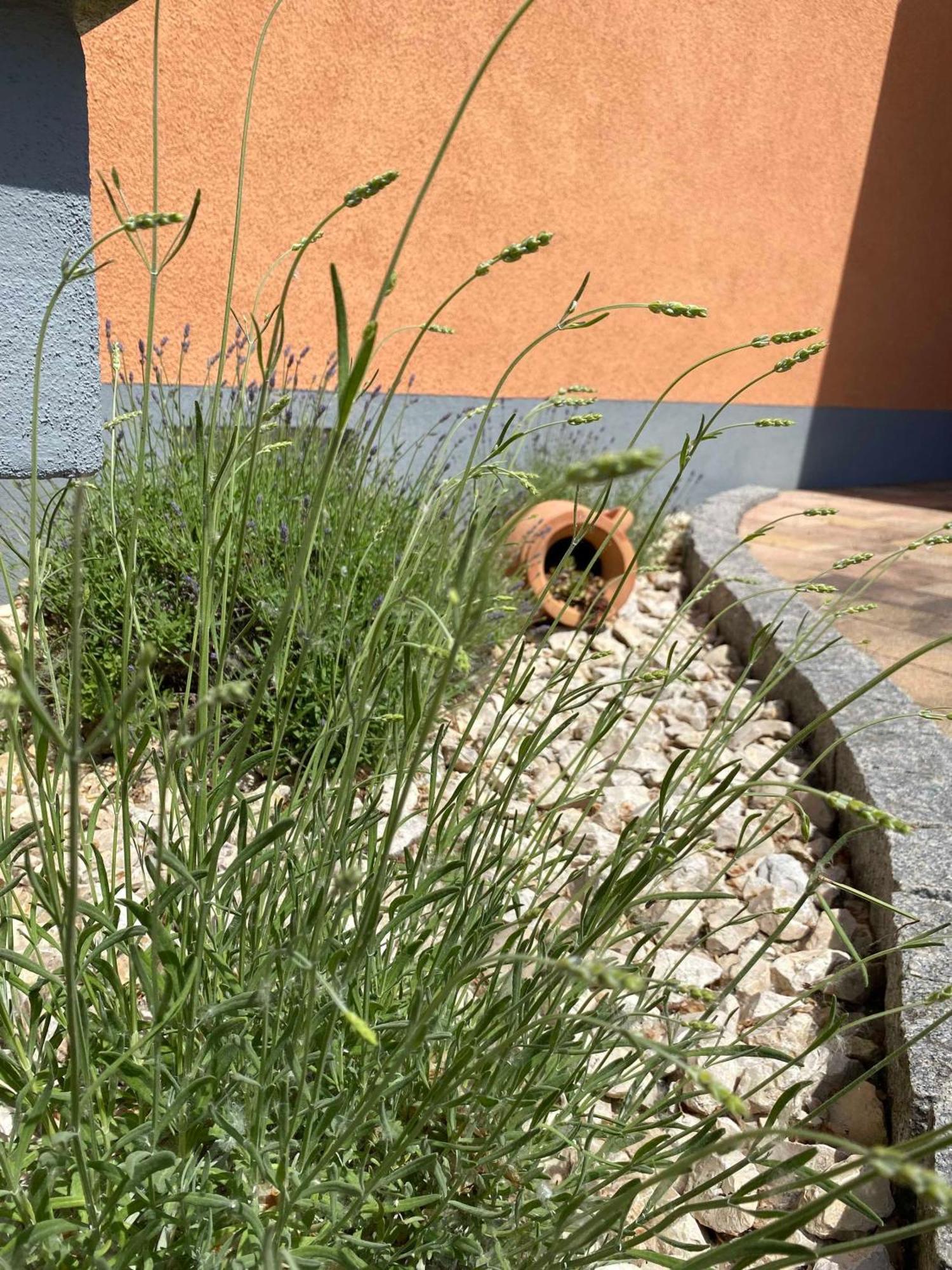 Ferienwohnung Im Sand Herbolzheim Exteriér fotografie